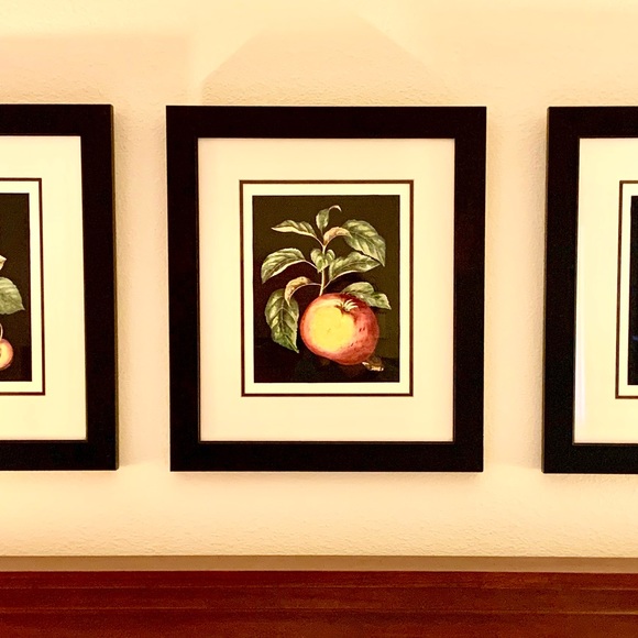 Fruit Theme Framed Art Prints , Set of Two. - Picture 5 of 11